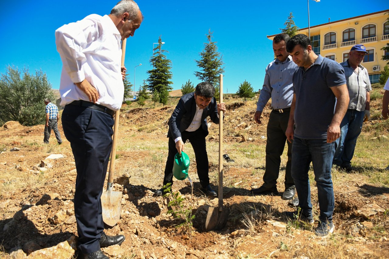 15 TEMMUZ ETKİNLİKLERİ "FİDAN DİKİMİ"